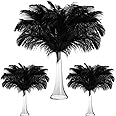 Maitys 90 Pcs Large Natural Ostrich Feathers Bulk 14-16 Inch (35-40cm) 12-14 Inch (30-35cm) 10-12 Inch (25-30cm) Ostrich Feathers Plumes for Centerpieces Wedding(Black)