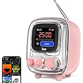 Divoom Tiivoo-2 Retro Bluetooth Speaker with FM Radio,Pixel Art Portable Mini Cute Wireless Small Speaker,Vintage Decor Suitb