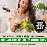 Super Ninja Fungus Gnat Killer 10 Pack Yellow Sticky Traps Indoor Plants view 3