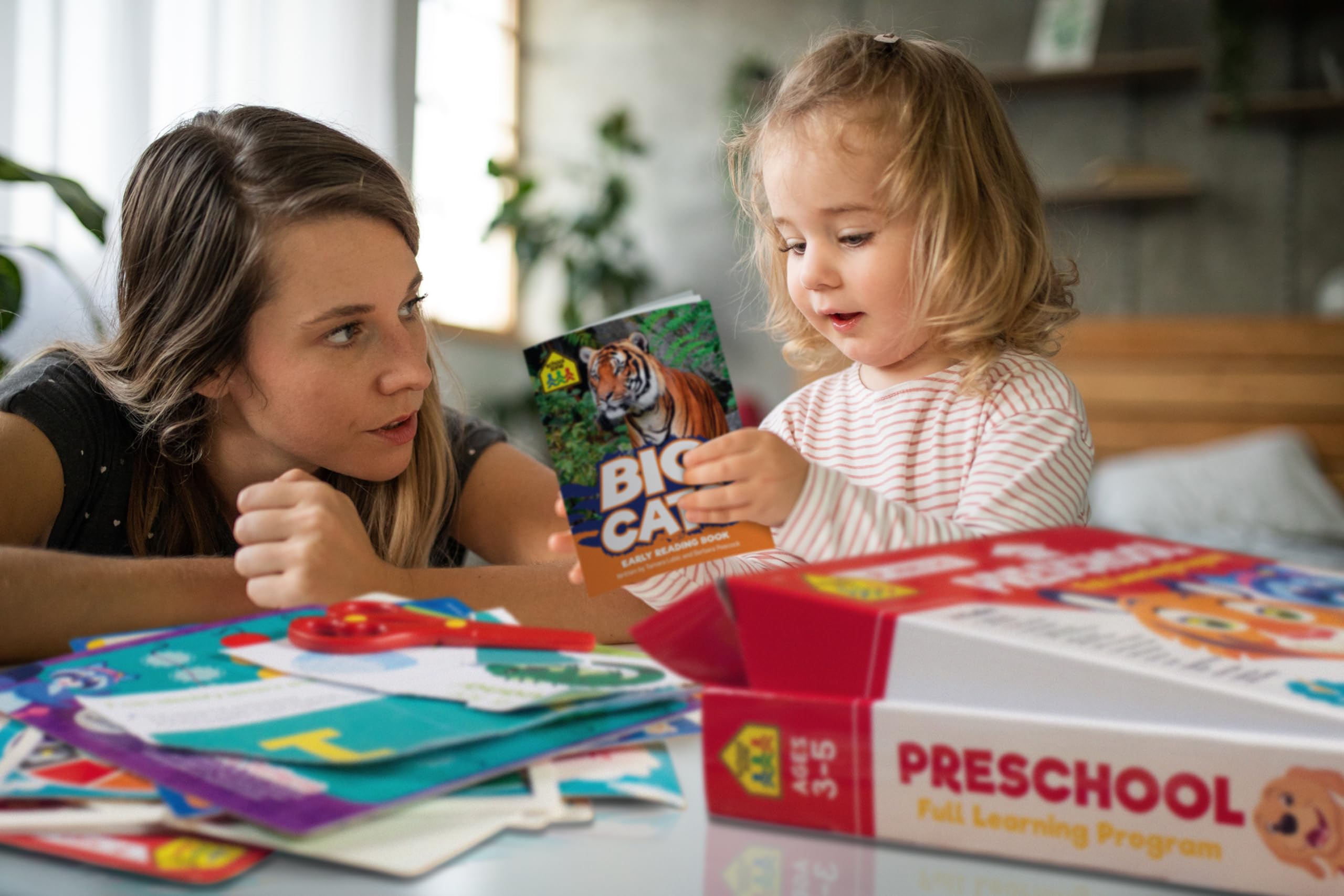 School Zone Full Learning Program for Preschool: Curriculum Set of Workbooks, Flash Cards, Early Reading, Educational Games, Write & Reuse, Alphabet, Numbers, Math, Colors, Shapes, Stickers, and More