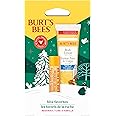 Burt's Bees Hive Favorites Beeswax Holiday Gift Set, Beeswax Lip Balm and Travel Size Body Lotion with Milk and Honey