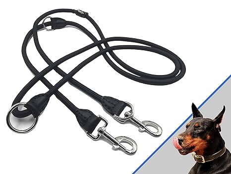 Profi Doppelleine - 280 cm, 4-fach verstellbar - robuste Nylon-Hundeleine mit Lederelementen - geeignet für 2 Hunde