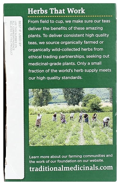 TRADITIONAL MEDICINALS, ORGANIC REISHI MUSHROOM TEA, 16 COUNT