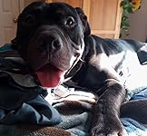 Review Image by Jean Jean