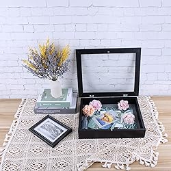 Golden State Art, 11x14 Shadow Box Frame Display