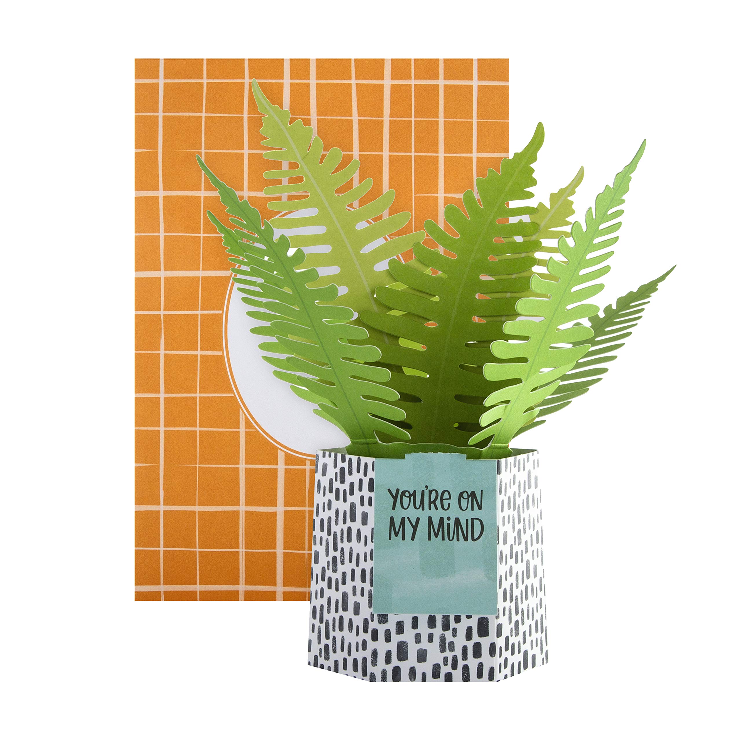 Hallmark Pop Up Card - Contemporary Fern Plant Design
