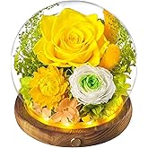 Eterfield Forever Flowers for Delivery Prime, Valentine's Day Rose Gifts for Her, Preserved Roses in Glass Dome, Long-Lasting Flowers for Mom Wife Grandma Birthday Mother's Day Anniversary, Yellow