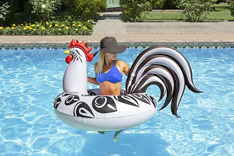 rooster pool float
