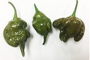 SHERWOODS SEEDS Mustard Green Trinidad Scorpion Hot Pepper Premium Seeds for Planting Packet + More