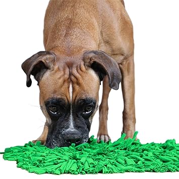 Bella Balu Schnuffelteppich Fur Hunde Der Schnuffelrasen Dient