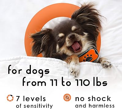 human shock collar amazon