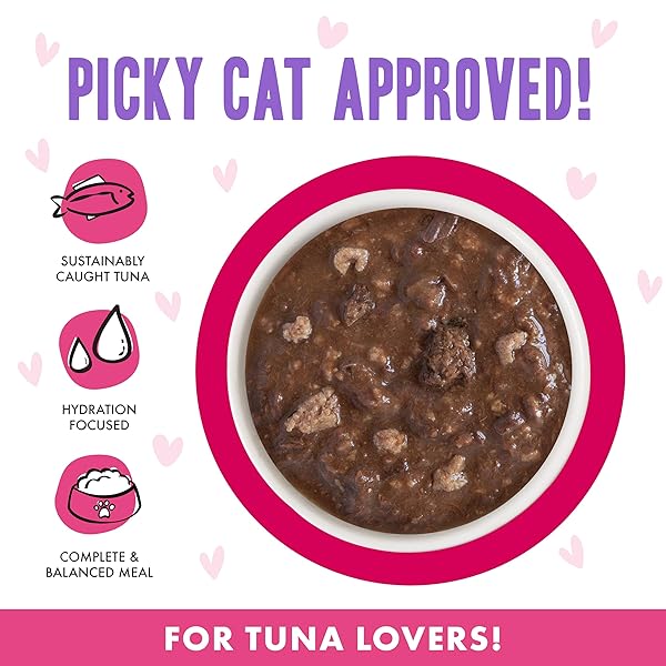 B.F.F. OMG – BEST FELINE FRIEND OH MY GRAVY!, TUNA & DUCK DILLY DALLY WITH TUNA & DUCK, 5.5OZ CAN (PACK OF 8)