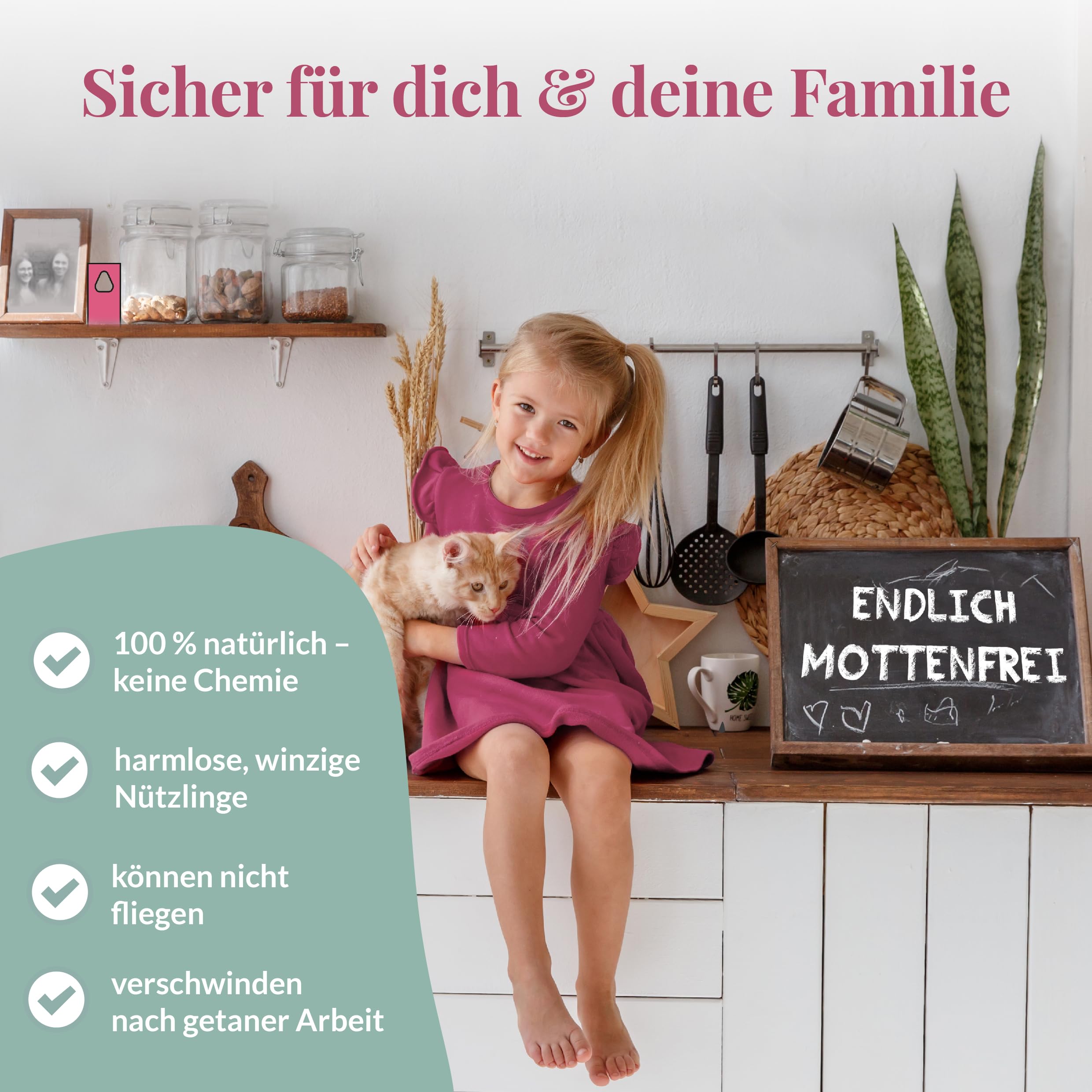 Hey Nature Schlupfwespen gegen Lebensmittelmotten - 9 Karten (3 Karten à 3 Lieferungen) - Effektiv Lebensmittel Motten bekämpfen - Alternative zu Lebensmittelmotten Falle, Mottenkugeln & Mottenspray 3