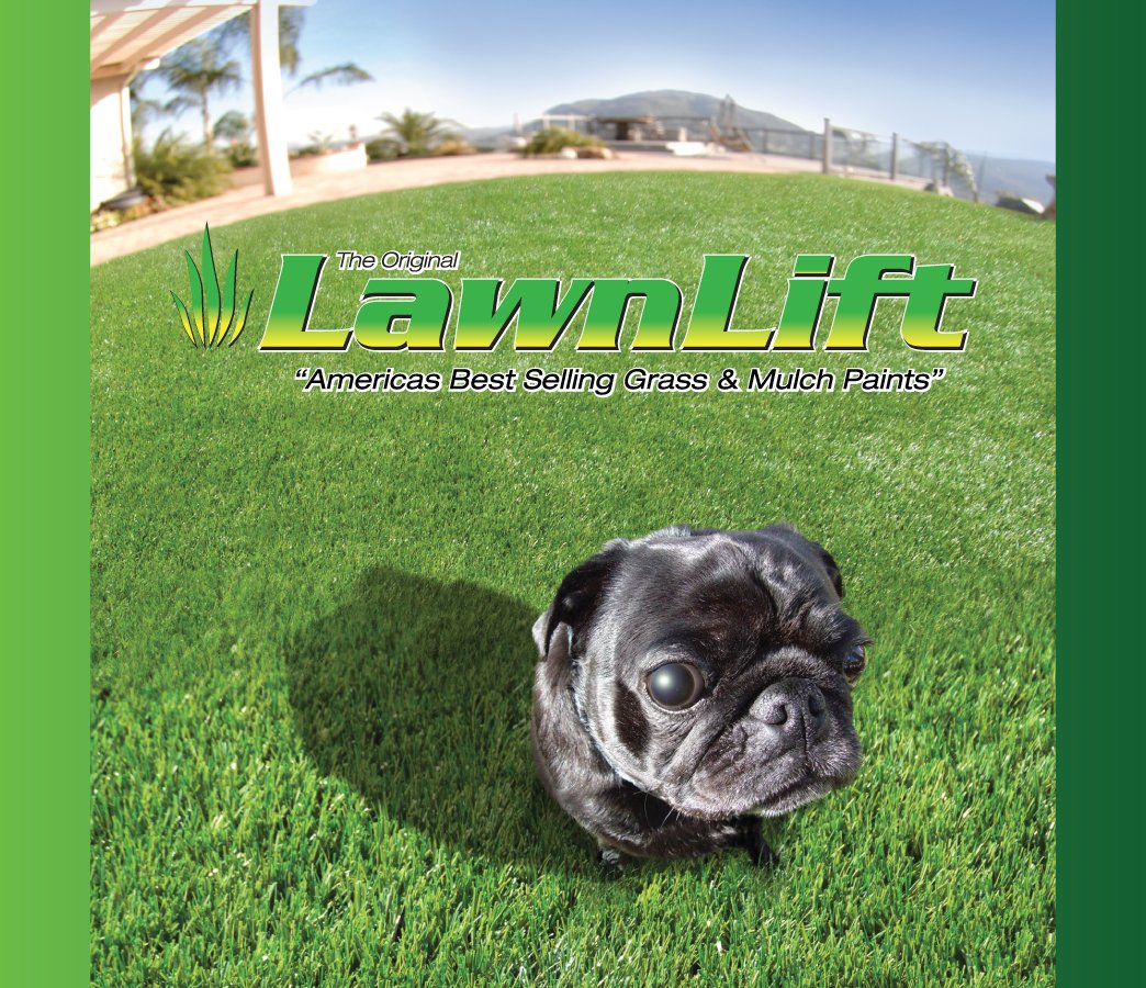 Lawnlift Ultra Concentrated (Green) Grass Paint 5 Gallon Case = 55