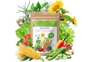 PLANTMEW 【Seed Vault】 Heirloom Vegetable Seeds Planting Kit - 15,000+ Non-GMO Seeds for Hydroponic, Indoor & Outdoor Gardening | Includes Tomato, Cucumber, Carrot Seeds & Survival Backpack Emergency Gear