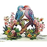 CUT POPUP.COM Valentines Day Card, Anniversary Card Pop Up, Wedding, Engagement, 3D Greeting Card (Parrot Couple)