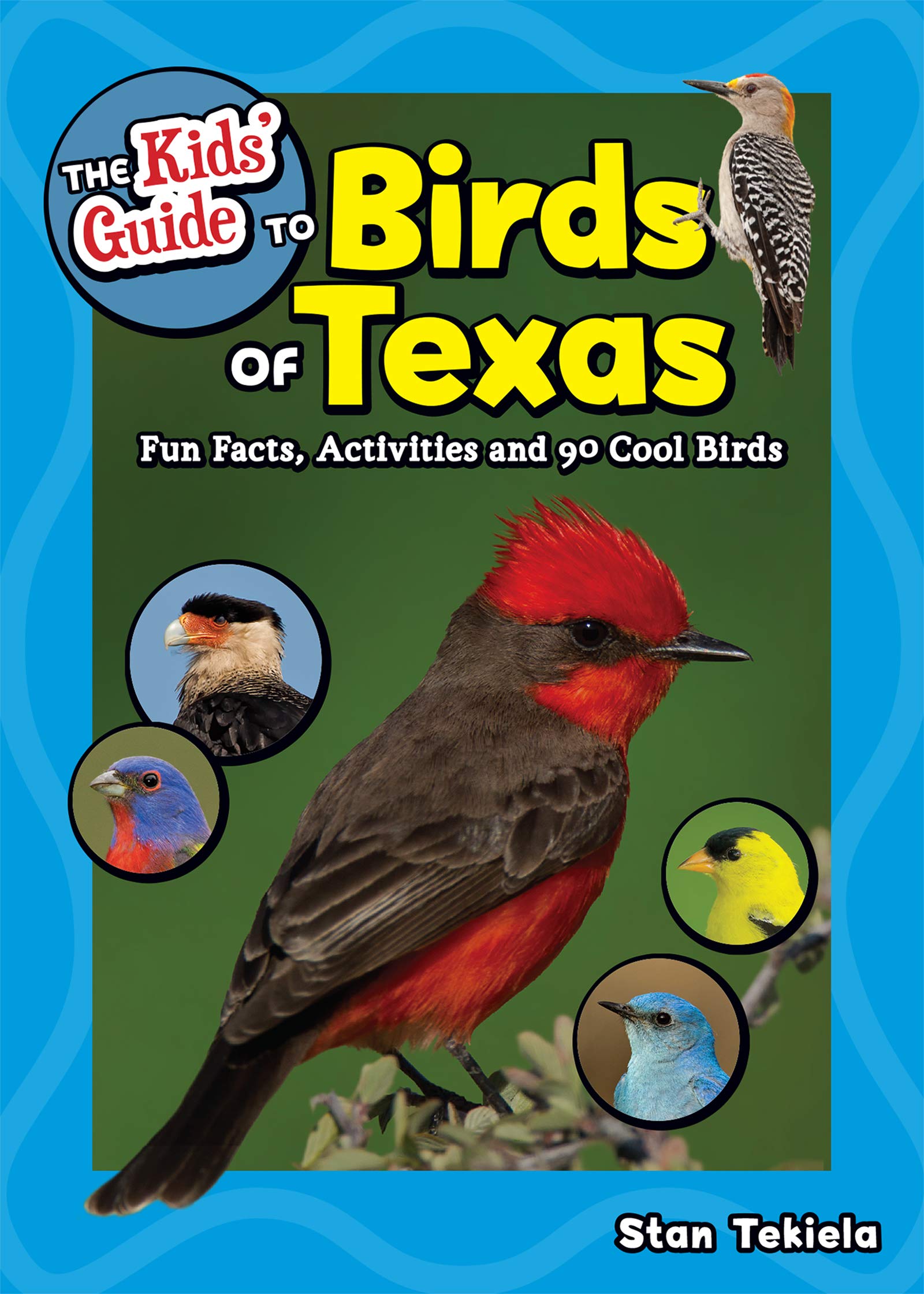Amazon Com The Kids Guide To Birds Of Texas Fun Facts Activities And 90 Cool Birds Birding Children S Books Tekiela Stan Books