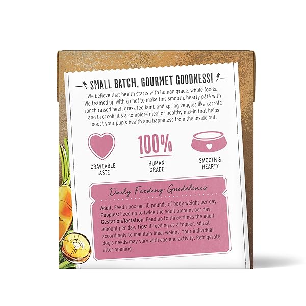 THE HONEST KITCHEN HUMAN GRADE BUTCHER BLOCK PÂTÉ WET DOG FOOD – BEEF, LAMB & SPRING VEGGIES, 10.5 OUNCE BOX (PACK OF 6)