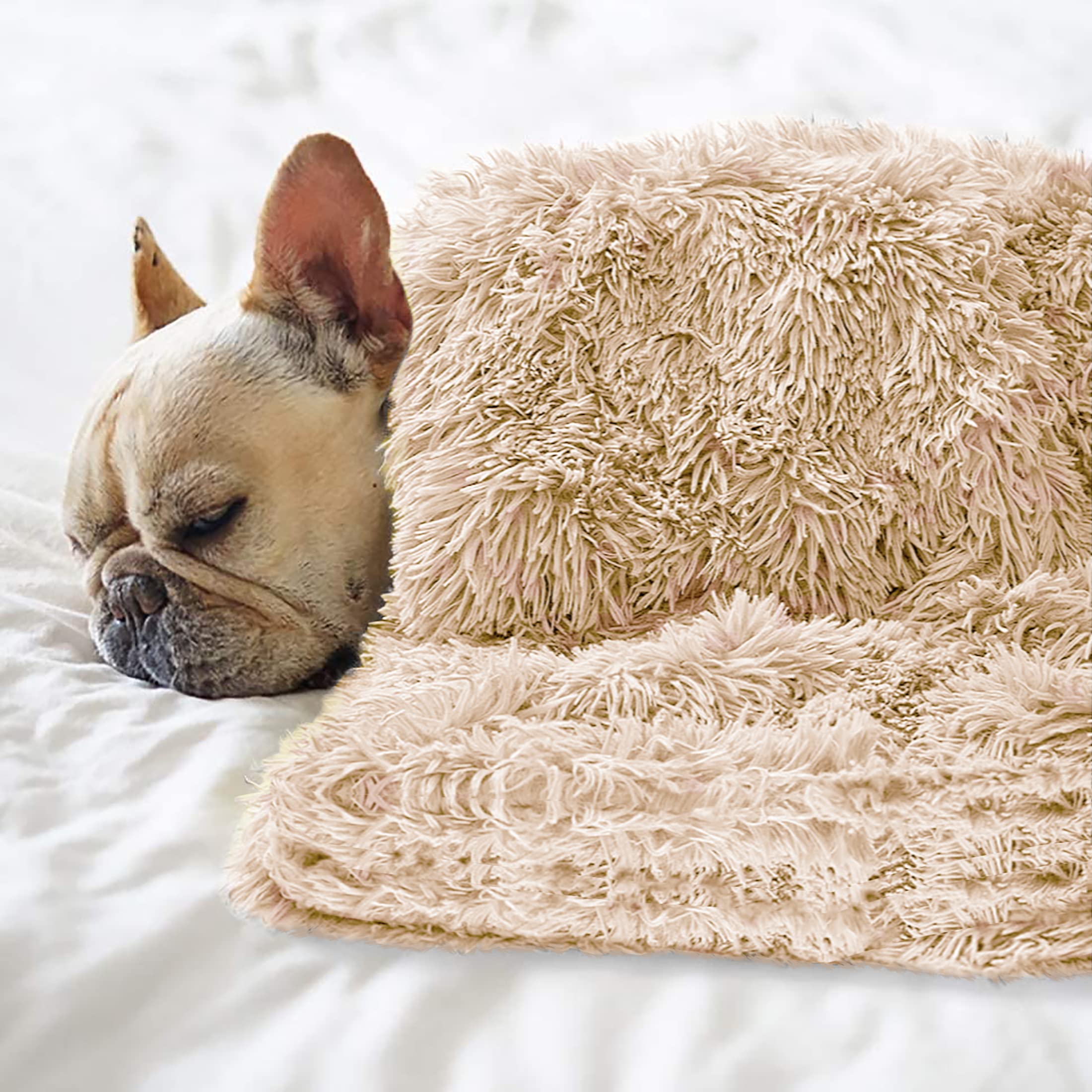 Photo 1 of Petbuy Pet Dog Bed Blankets, Fluffy Fleece Dog Throw Blankets Sleep Mat,Soft Puppy Blankets Cat Kitten, S M L XL,Fuzzy Reversible Sherpa Blanket for Bed, Couch, Sofa, Travel,Washable & Lightweight