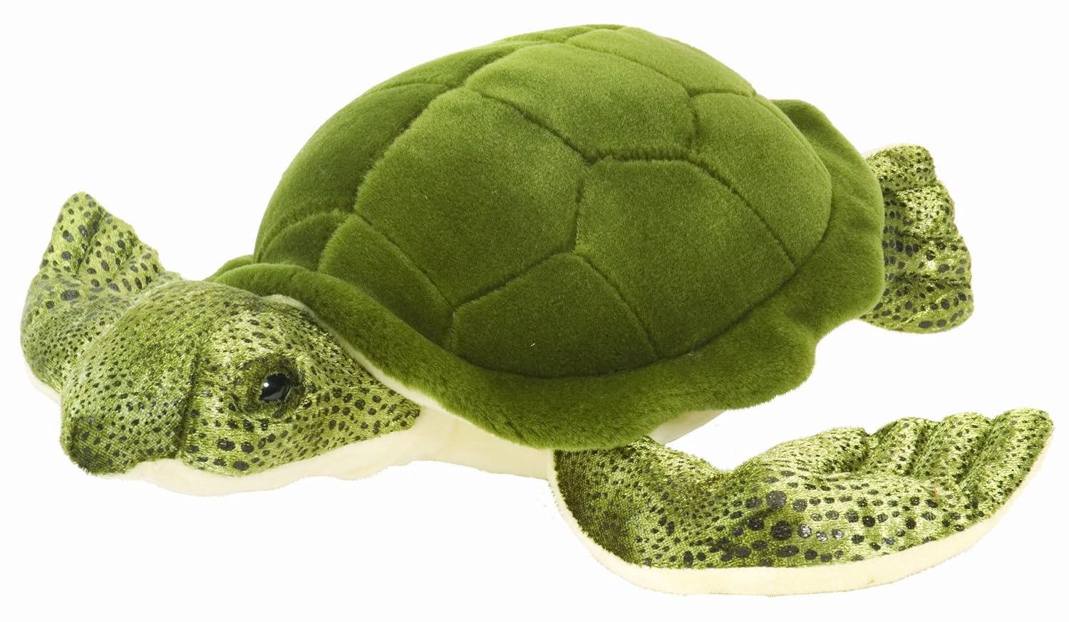 Turtle, Green sea turtle, Teddy bear stuffed animal
