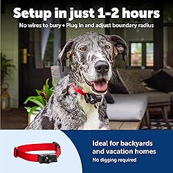 PetSafe Wireless Pet Containment System - Original