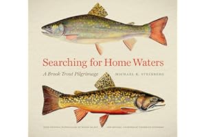 Searching for Home Waters: A Brook Trout Pilgrimage