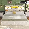 Dnxao Queen Size Bed Frame with 2-Tier Storage Headboard, Platform Bed Frame with LED Lights and Built in Charging Station,Farmhouse Rustic Bed with Sliding Barn Door, Noise Free,Easy Assembly,White