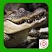 Crocodile Hunter 2014