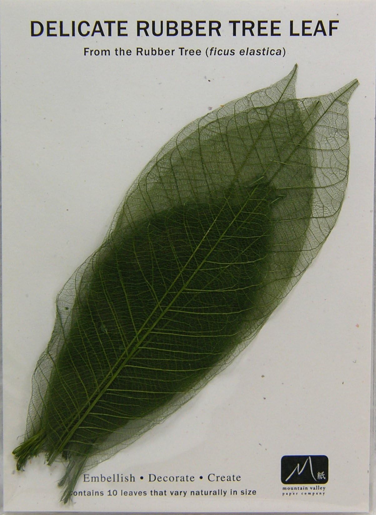 Skeleton Leaves- Pack of 10 Green Rubber Tree Leaves