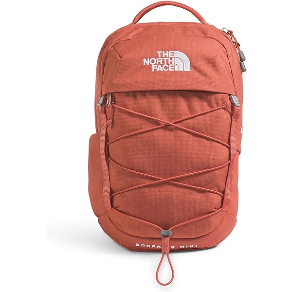 maru　THE NORTH FACE MINI BACKPACK Amazon.com | The North Face 10L Mini Borealis Every Day