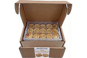 Bits N Things Mini Phyllo (Fillo) Shells | Fully Baked | Vegan & Kosher |15 Per Box (3 Boxes)