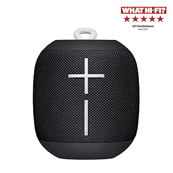 ultimate ears double up