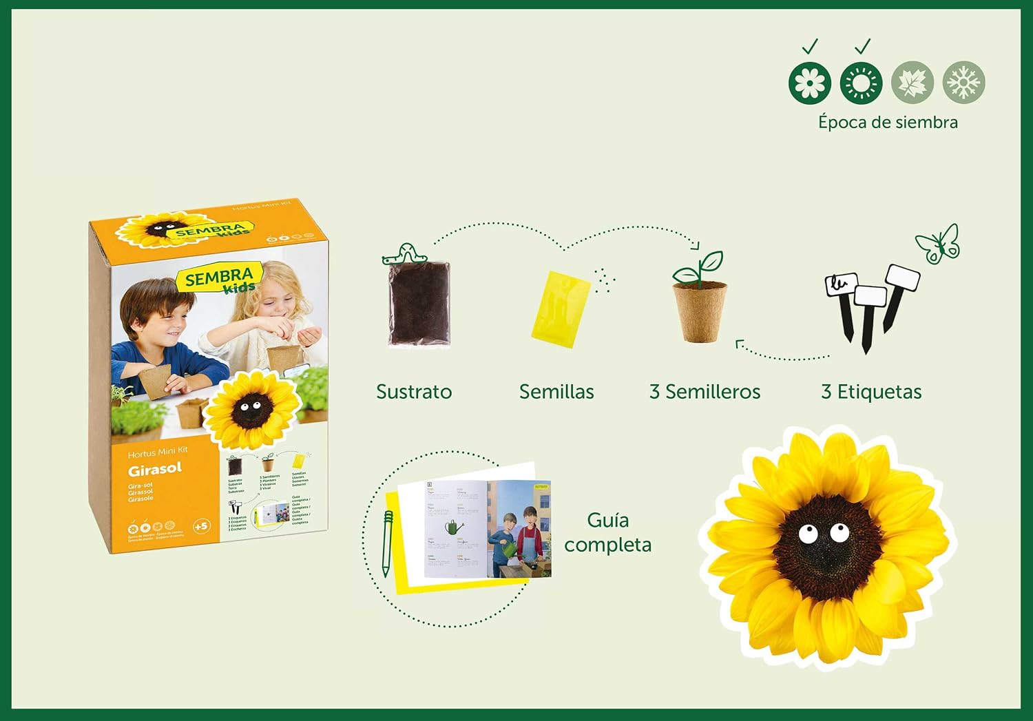 SEMBRA - juego educativo, Kit huerto Orégano: Amazon.es: Jardín