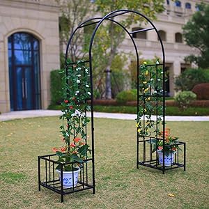 Better Garden Steel Garden Arch with Plant Baskets, 6'9