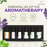 Pure Aroma 100% Pure Essential Oils Kit 6 x 10ml Lavender Tea Tree Eucalyptus view 5