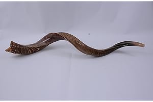 Extra Large Authentic Yemenite Kudu Shofar - 42"-44" Half Polished, Half Natural Finish - Includes Anti-Odor Spray, Carrying 