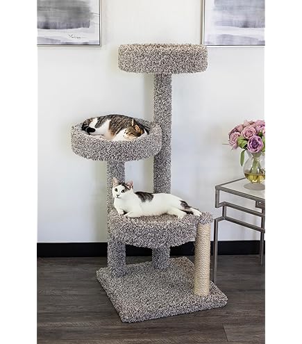 Amazon.com : New Cat Condos 64