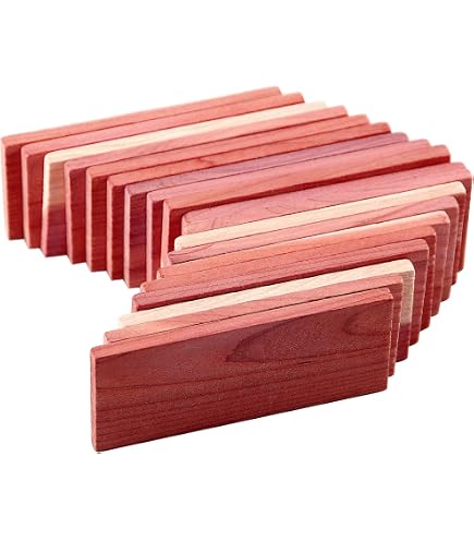 Zedernholz Hängeblöcke – 6er Set, Ca. 27,9 X 5,1 Cm, Mit Haken, Für Schrank & Wäsche, Natürlicher Duft