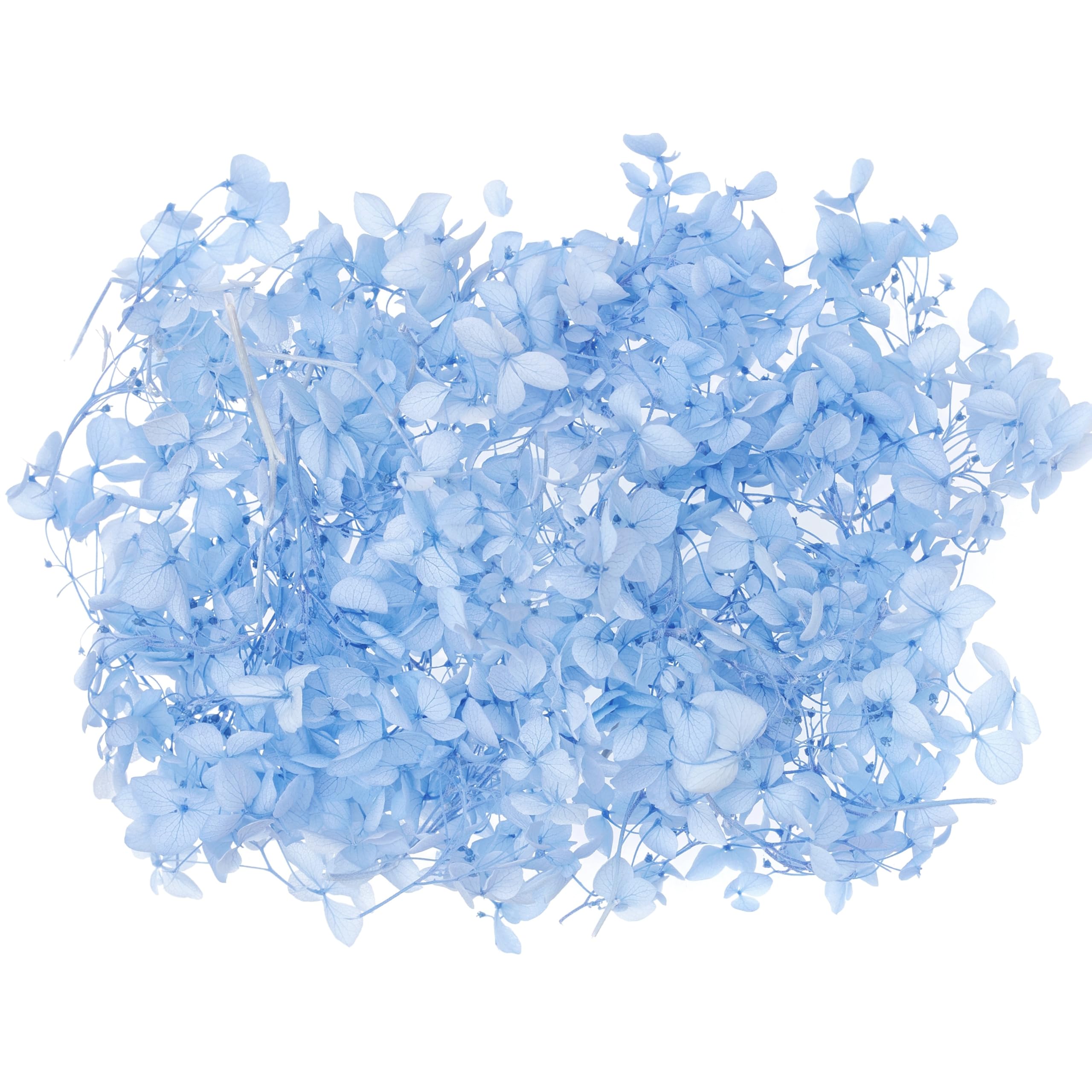 The Baked Studio - Original Dried Flower Hydrangea Set For Cake & Cupcake Decorating & Others Crafts (Light Blue)