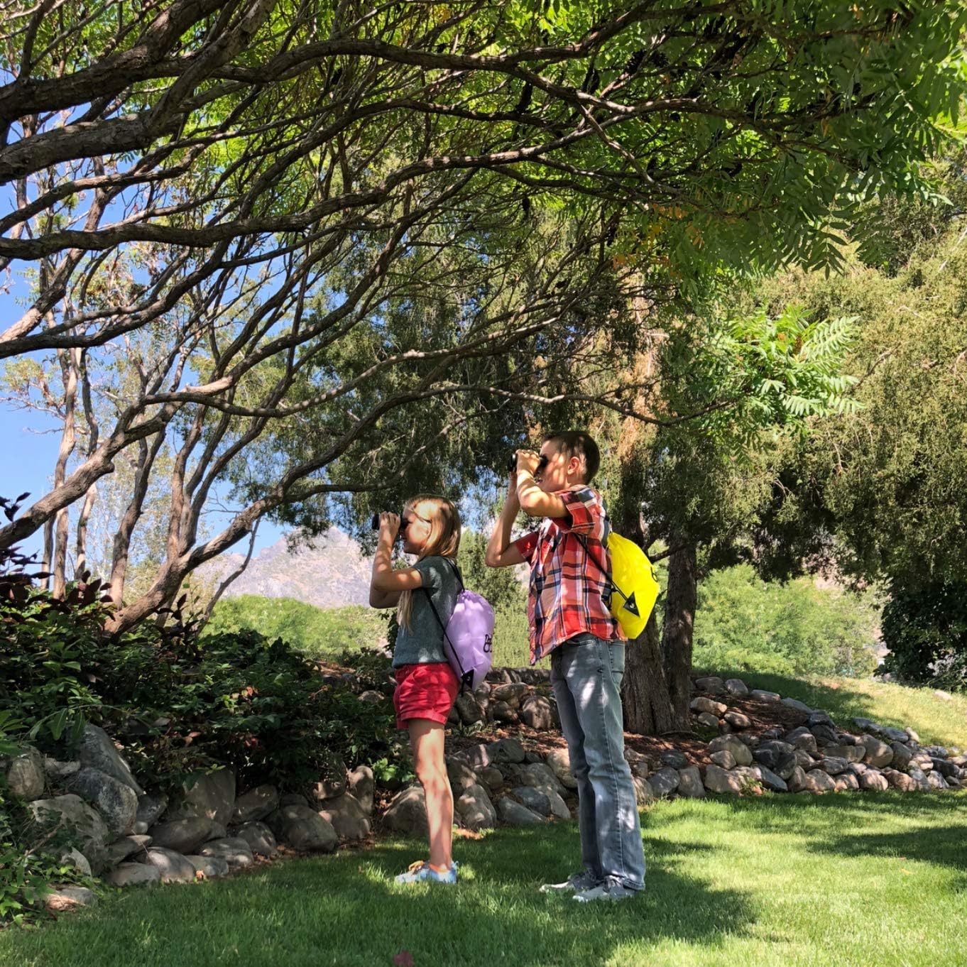 Unplugged Explorers 9 Piece Kids Outdoor Explorer Kit- Backpack, Binoculars, Flashlight, Compass, Bug Collector, Whistle, Magnifying Glass, and Journal. Boy/Girl STEM (Purple): Toys & Games