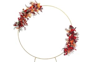 SUUWOEE 7.2Ft Balloon Arch Stand, Round Backdrop Stand,Golden Circle Wedding Arch Frame for Wedding,Valentine's Day,Birthday,Party,Friends Gathering,Christmas,Garden Decoration