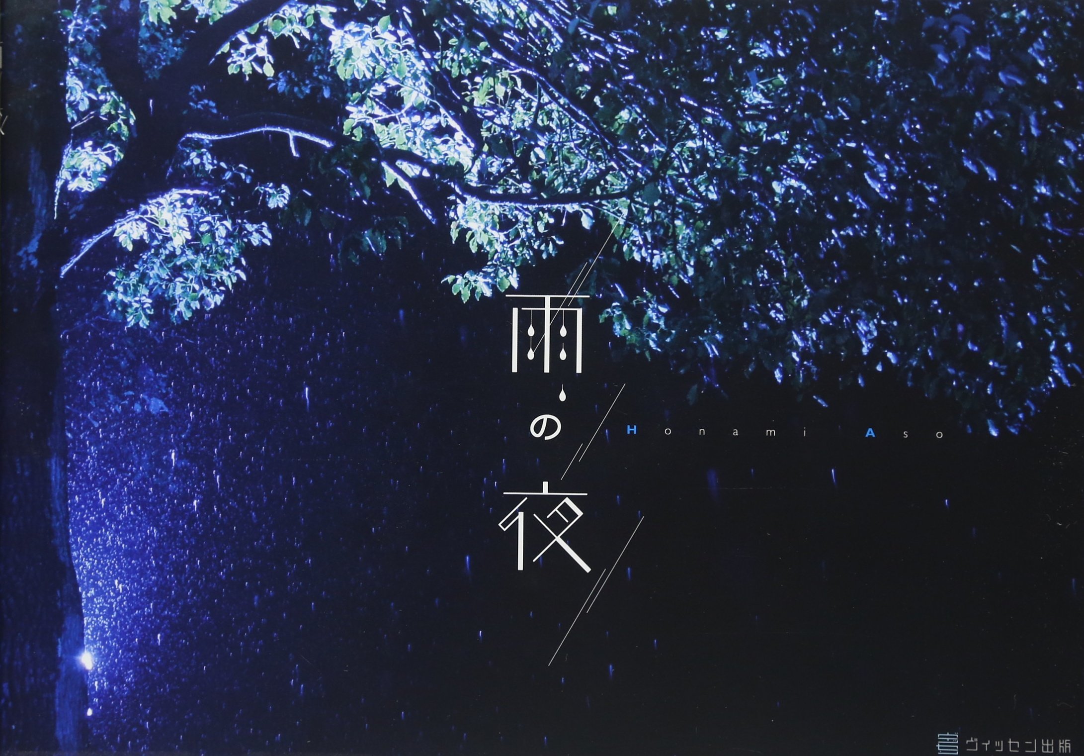 Amazon Co Jp 雨の夜 麻生歩波 前田皓明 Japanese Books