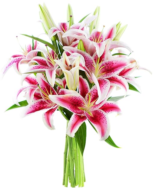 KaBloom Bouquet of 8 Fresh Cut Stargazer Lilies with Vase