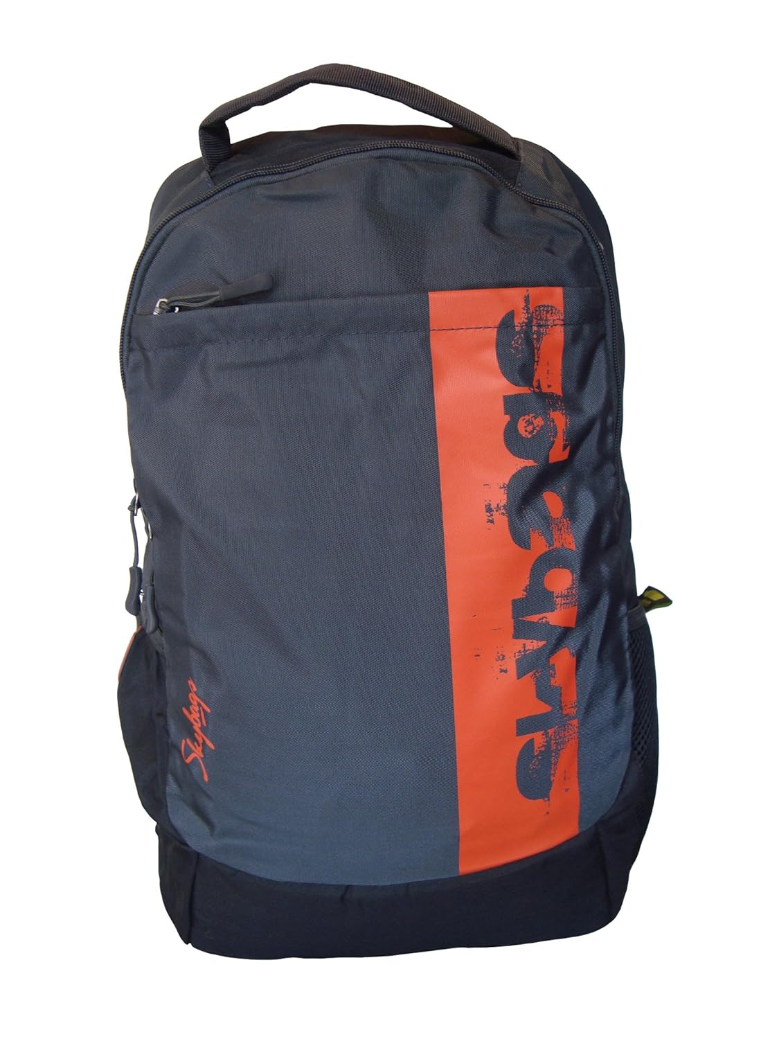 Buy Skybags Boost 02 Laptop Backpack(Grey) at Amazon.in