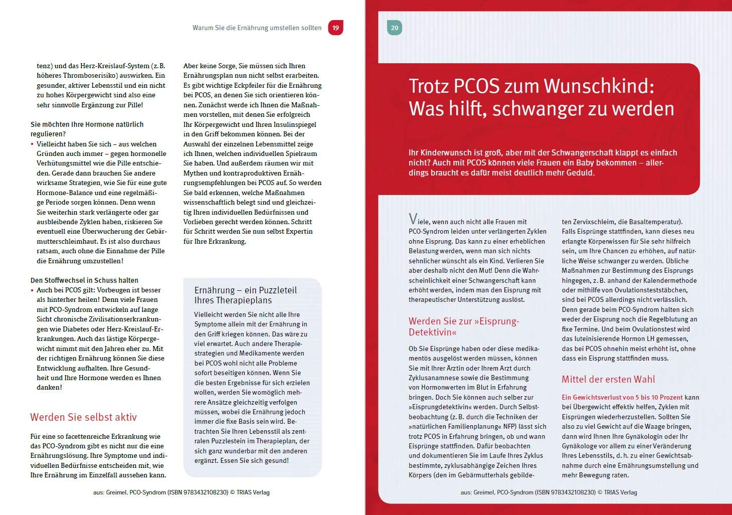 Pco Syndrom Das Kochbuch Fur Die Hormon Balance Greimel Judith Amazon De Bucher