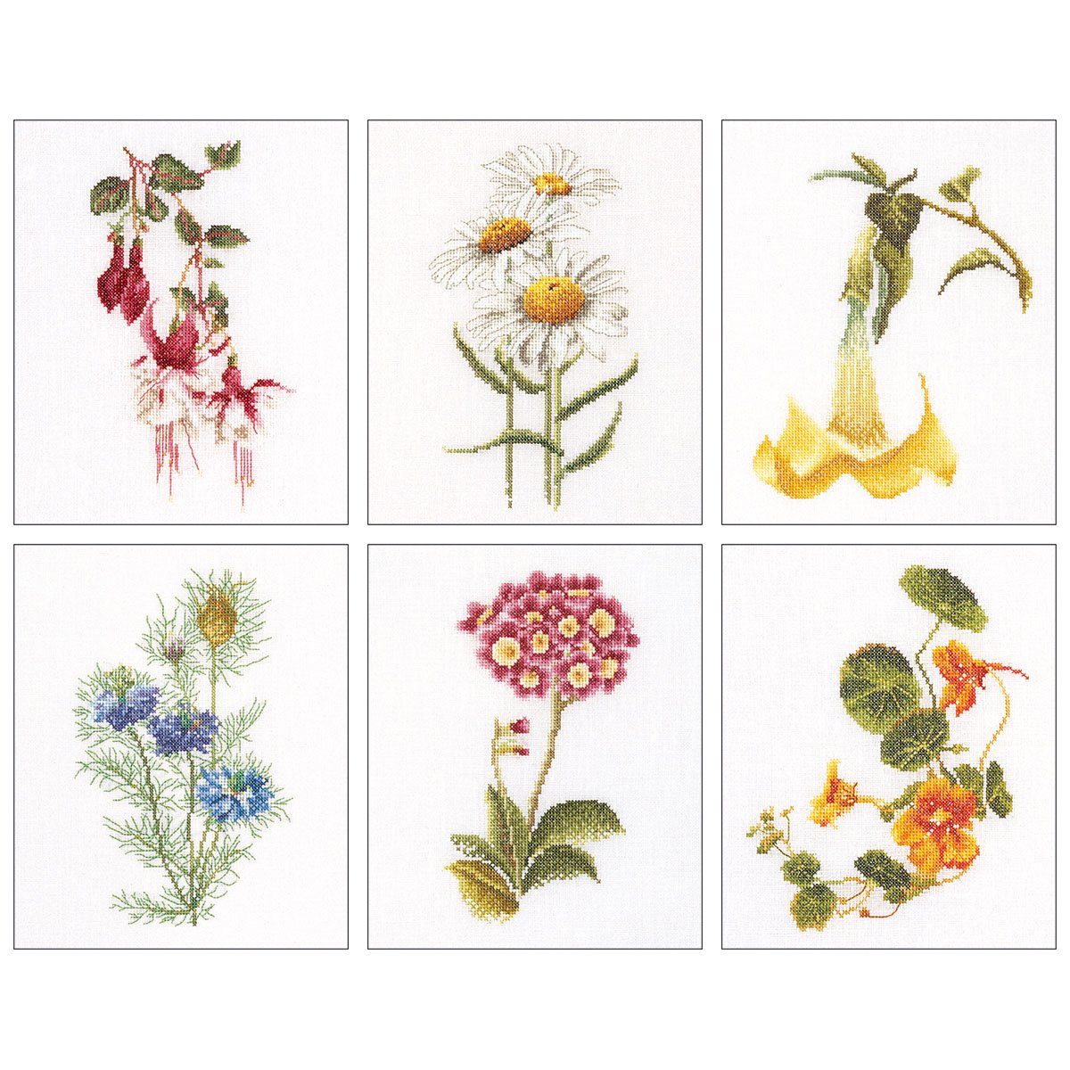 Thea Gouverneur Floral Studies 4 On Linen Cross Stitch Kit-6.75 x 8-inch 36 Count (Set of 6)