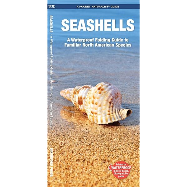 The Encyclopedia of Shells: Wye, Kenneth R.: 9780785812333: Amazon