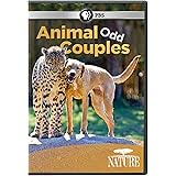 Nature: Animal Odd Couples