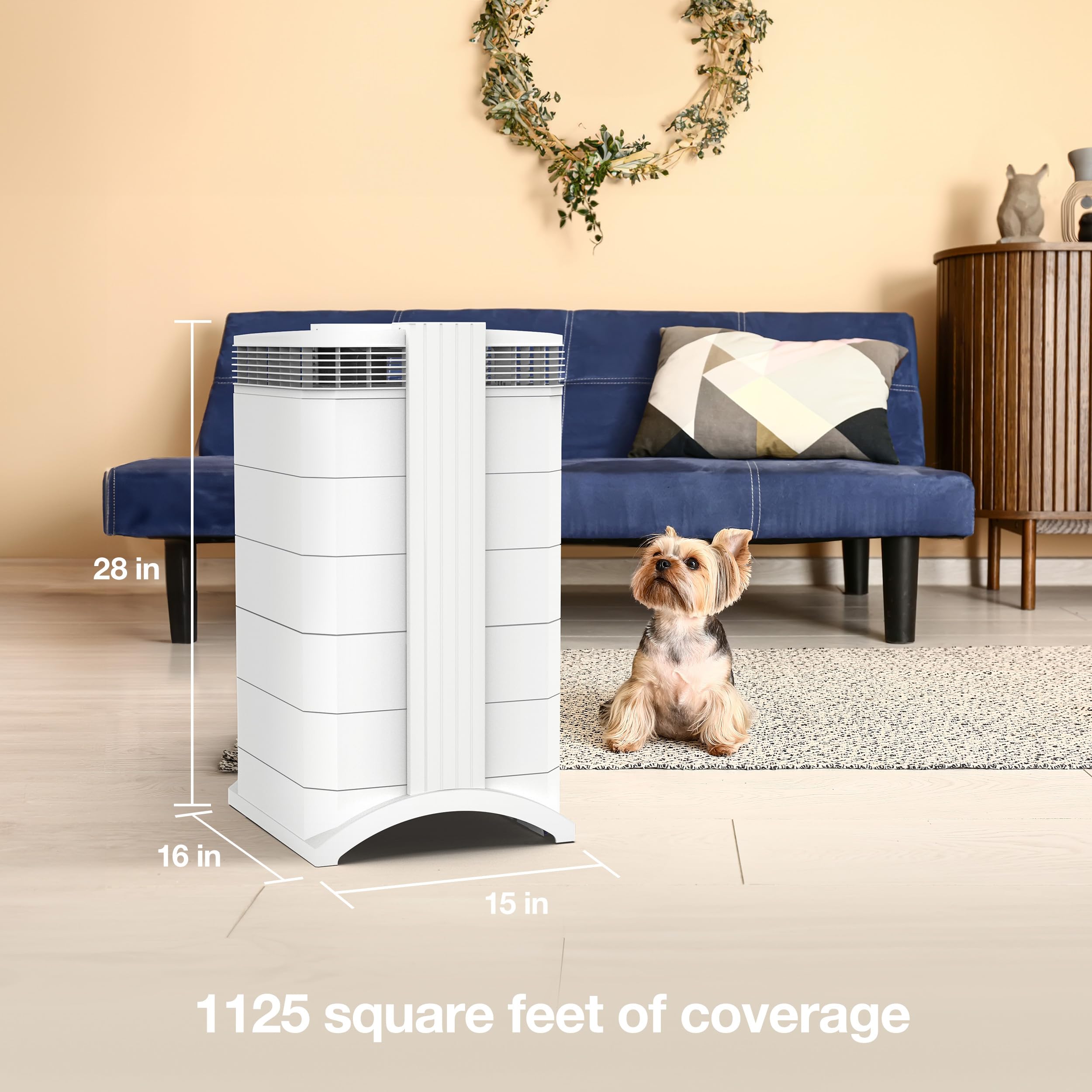 IQAir HealthPro Plus XE Air Purifier - Smart HyperHEPA Filtration for Large Rooms up to 1125 sq ft - Smoke, Viruses, Allergens, Asthma, Mold, Dust, Pets, Swiss Made, WiFi Enabled