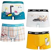 DECOVICI Boys Underwear 4 Pack, Kids Boxer Briefs 2-12 Years Soft Breathable Toddler Little Boys Boxer Shorts Dinosaur Space